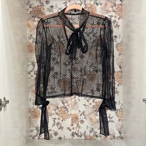 Zara Polka Dot Sheer Blouse